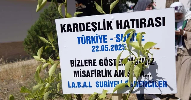 Suriyeli öğrenciler, okullarına kardeşlik fidanı dikip ülkelerine döndü Hatay Haberleri
