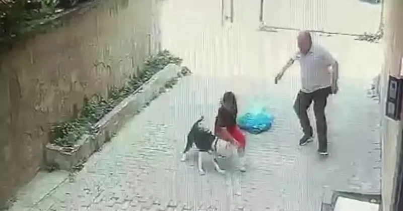 Ataşehir’de pitbull dehşeti: Sokakta oyun oynayan çocuk ölümden döndü!
