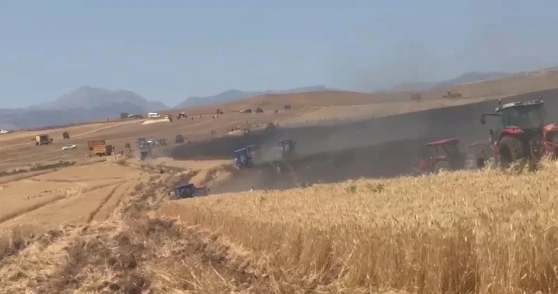 Siirt te 350 dönümlük buğday tarlası yandı