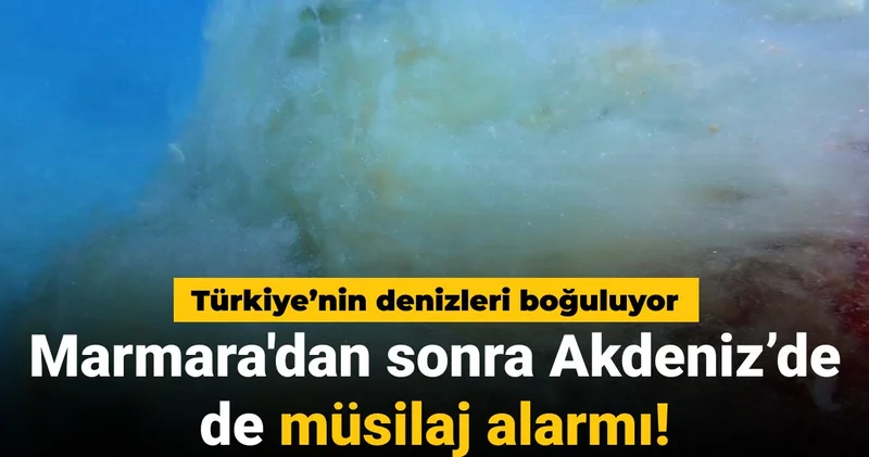 Türkiye’nin denizleri boğuluyor: Marmara dan sonra Akdeniz’de de müsilaj alarmı!