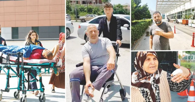 Bir Kurban Bayramı klasiği Yerel Gündem Haberleri