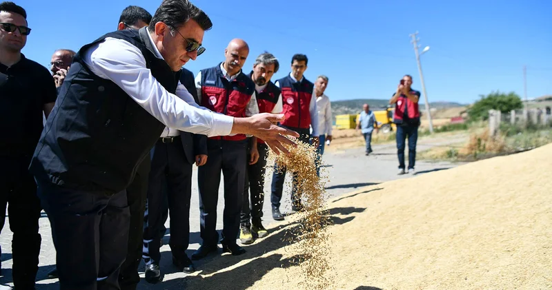 Tunceli Valisi Aygöl, hasat etkinliğine katıldı