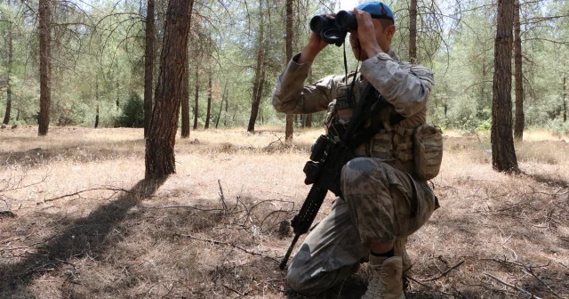 Kilis’te ormanlara jandarma nöbeti VİDEO İZLE