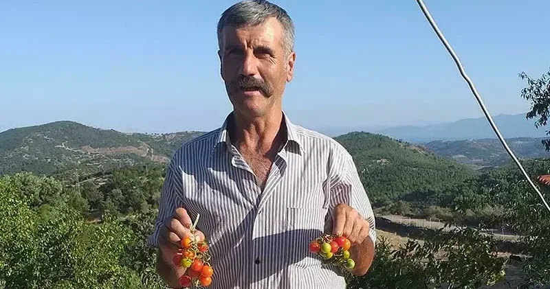 Ailesiyle gittiği piknikte kayboldu