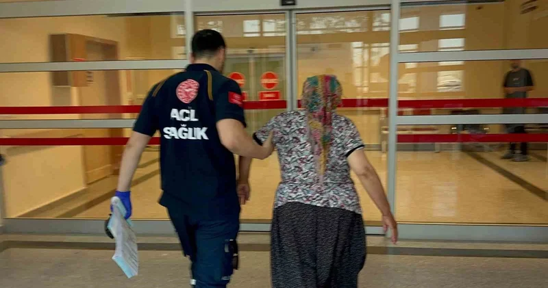 Yılanın ısırdığı kadın hastaneye kaldırıldı