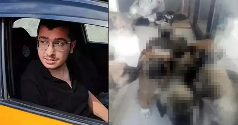Türkiye tarihinin gördüğü ilk seri hayvan katili Sapık doktorun ifadeleri pes dedirtti! Sözcü Gazetesi