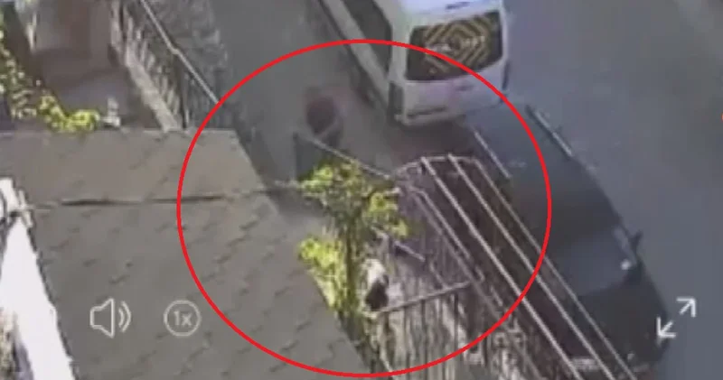 Köpeğe taş ve sopalı saldırı!