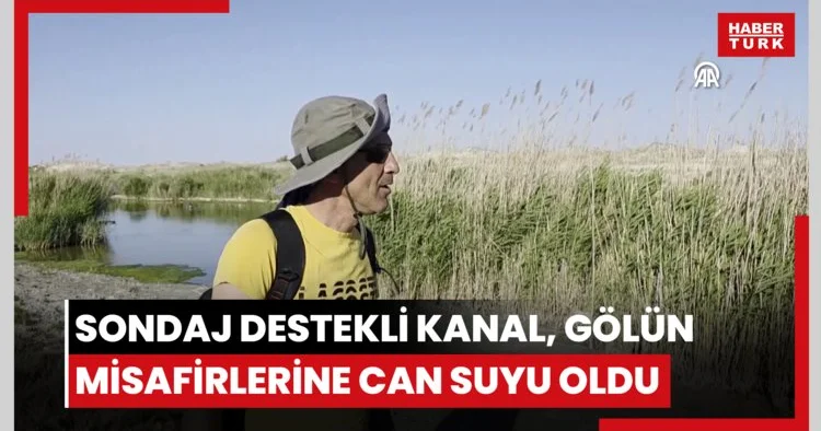 Tuz Gölü ne açılan sondaj destekli kanal, gölün misafirleri flamingolara can suyu oldu