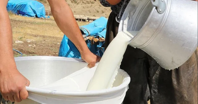 Çiğ sütün litre fiyatı ne kadar belli oldu mu? Çiğ süt tavsiye fiyatı 21 TL mi olacak? Son Dakika Haberleri