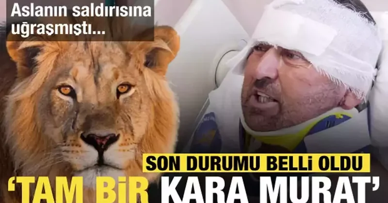 Aslan saldırısına uğrayan adamın son durumu belli oldu: Tam bir kara Murat