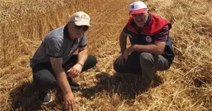 Düzce’de verimli hasat için yerinde denetim