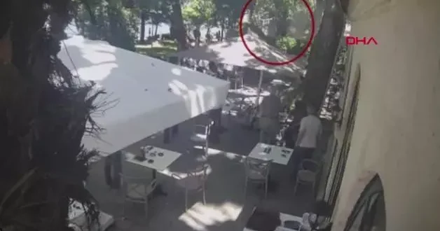 Çınar ağacının altında kalan öğretmenin hayatını kaybetti