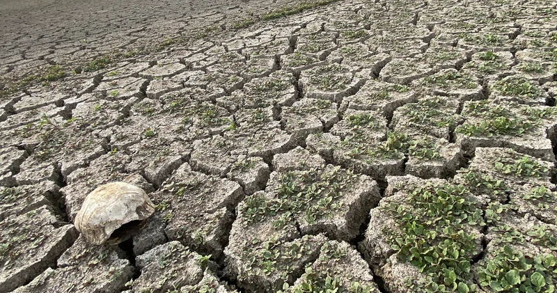 Yozgat’ta kuş cenneti Gelingüllü Barajı’nda sular çekildi; Delice Irmağı kurudu