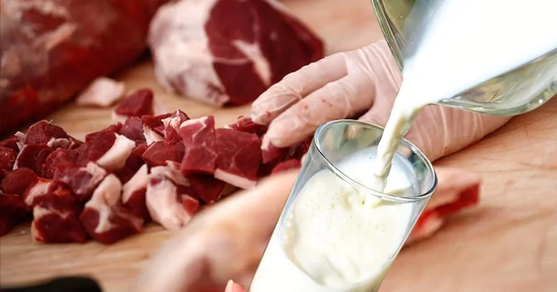 Et ve süt ürünlerine karşı alerji yapan hastalık dünyaya yayılıyor