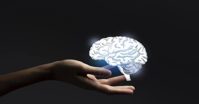 Alzheimer ın nedeni beynin neresinde?