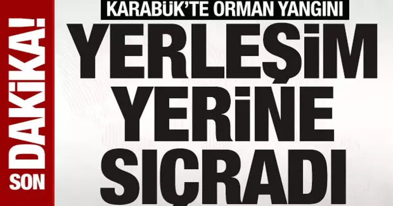 SON DAKİKA: Karabük te orman yangını: Yangına müdahale sürüyor