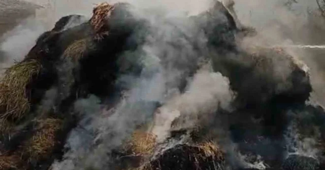 Hakkari nin Yüksekova ilçesinde çıkan yangında bin bağ ot kül oldu VİDEO İZLE