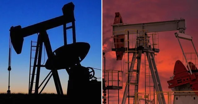 TPAO nun Diyarbakır daki petrol arama ruhsatı uzatıldı Türkiye Ekonomisi Haberleri
