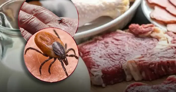 Doktorlar bile tanımakta zorlanıyor! Dünya genelinde hızla yayılıyor: Gıdalarda da var...