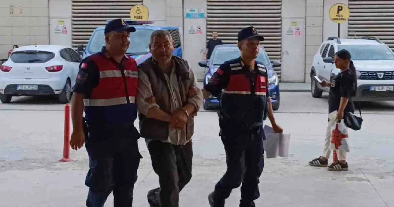 Evde kenevir bahçesi kurdular! 2 şüpheli tutuklandı