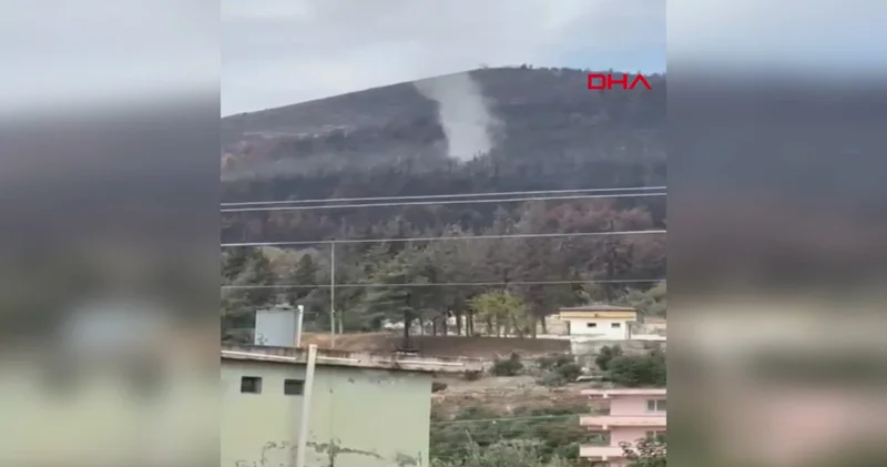 Hatay da geçen ay yanan ormanda bu kez hortum