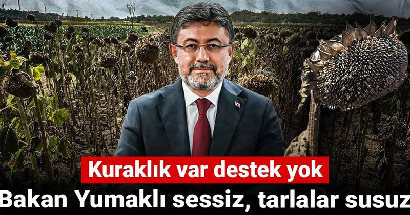 Bakan Yumaklı sessiz, tarlalar susuz! Kuraklık var destek yok