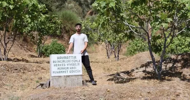 Aydın haberleri Mezar taşı sandılar, incir hayratı çıktı 07 Eylül 2025