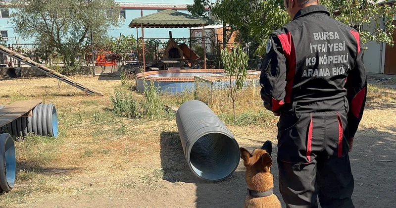 Afet ve acil kurtarma köpekleri göreve hazır Sözcü Gazetesi