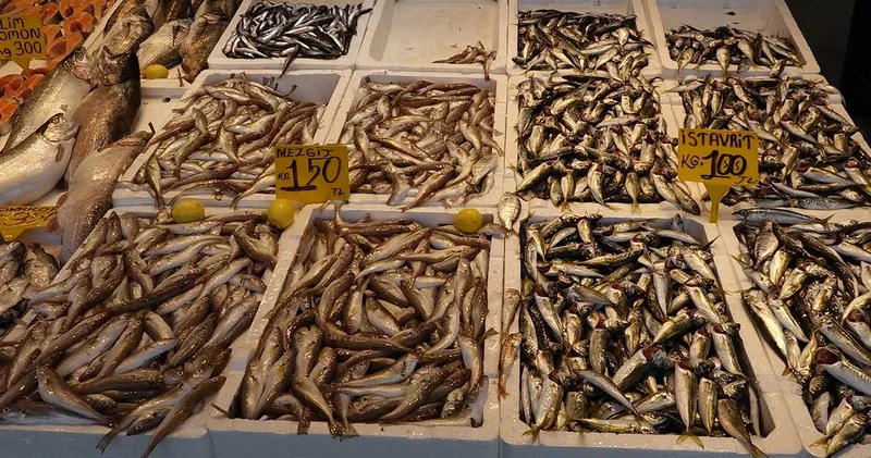 İstavrit tezgahları doldurdu: Fiyatlar memnun etti