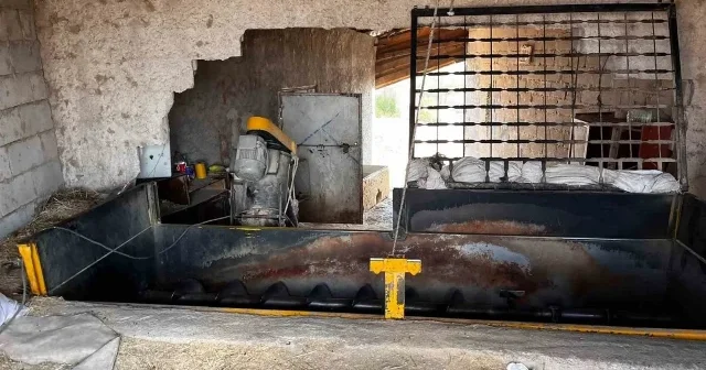 Yem karma tankına düşüp yaralanan işçi tedavi altına alındı Gündem Haberleri
