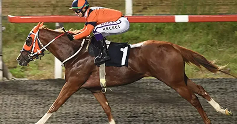 Horse Racing Ireland Koşusu’nda galibiyetin adı Farewell Kiss Spor Haberleri