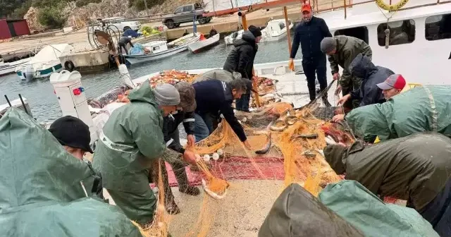 Saros Körfezi’nde denize açılan balıkçıların ağları kefal ile doldu Aktüel Haberleri