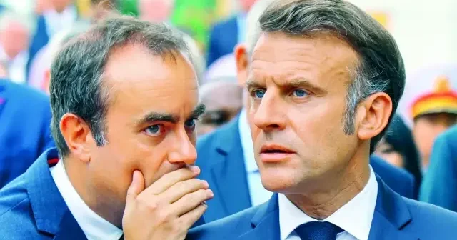 Fransa bitkisel hayatta! Avrupa Haberleri