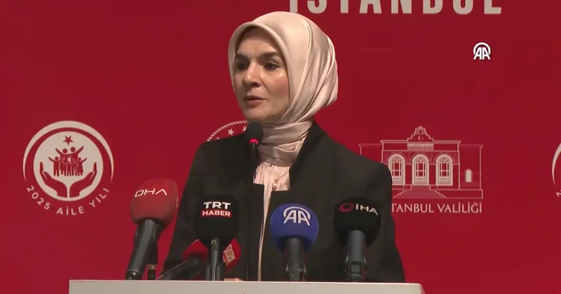 10 yıl aradan sonra dev araştırma: 81 ilde 18 bin kadınla yüz yüze görüşüldü