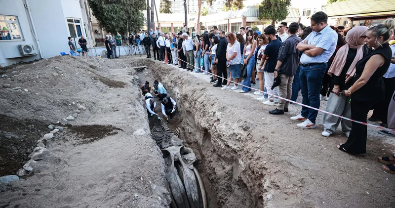 4 yıl önce gömülmüştü: 14 metre uzunluğundaki iskelet topraktan çıkarılıyor