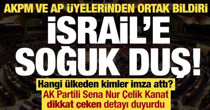 İsrail e soğuk duş, AKPM ve AP üyelerinden ortak bildiri! Hangi ülkeden kimler imza attı?