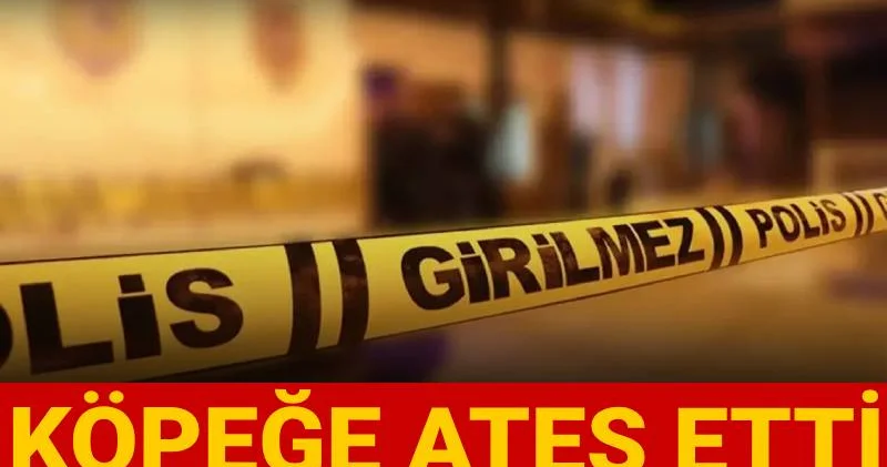 İzmir de silahlı dehşet! Köpeğe ateş edip yoldan geçen kadını öldürdü