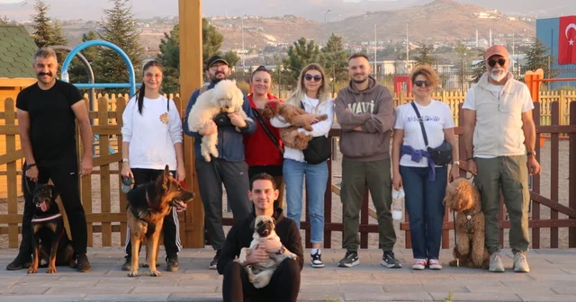 Millet bahçesinde köpekler parkurda eğitilip, stres seviyeleri yürüyüşle azaltılıyor Kayseri Haberleri