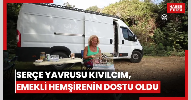 Serçe yavrusu Kıvılcım emekli hemşirenin yoldaşı oldu