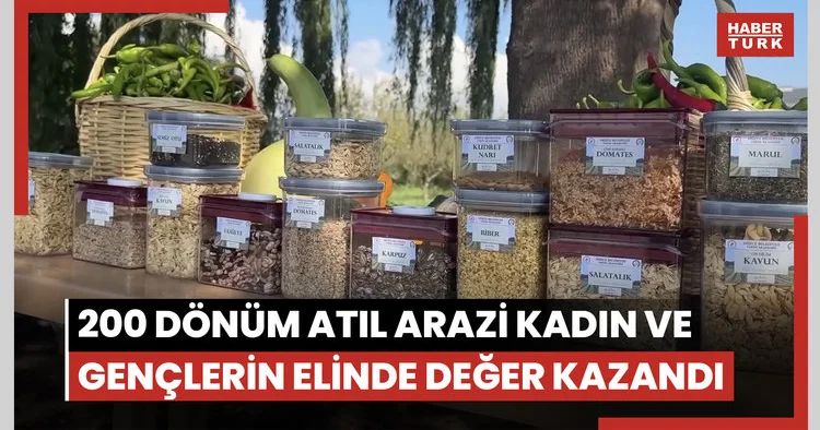 Düzce de 200 dönüm atıl arazi kadın ve gençlerin elinde değer kazandı