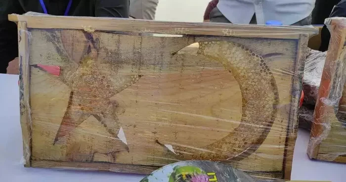 Sason’da ’ay yıldızlı’ arı kovanları yoğun ilgi görüyor