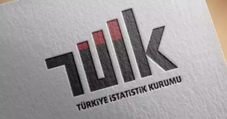 TÜİK: Kadınların yüzde 12,8 i fiziksel şiddete uğradı
