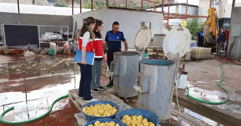 Sağlıksız şartlarda patates dilimleyen işletme mühürlendi