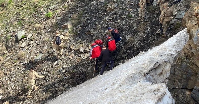 Pancar toplamak için çıktığı dağdan düşerek hayatını kaybetti Sözcü Gazetesi