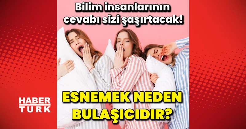 Evrensel bir taklit güdüsü: Esnemek neden bulaşıcıdır? Bilim insanlarının cevabı sizi şaşırtacak!