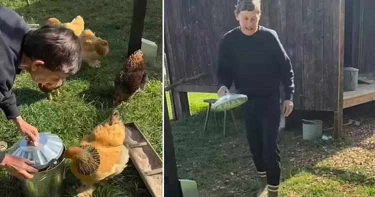 Ekranın en konuşkan yıldızıydı... Doğaya koşup çiftliğe yerleşti, başına gelmeyen kalmadı: Yemeğinizi yiyin tavuklarım