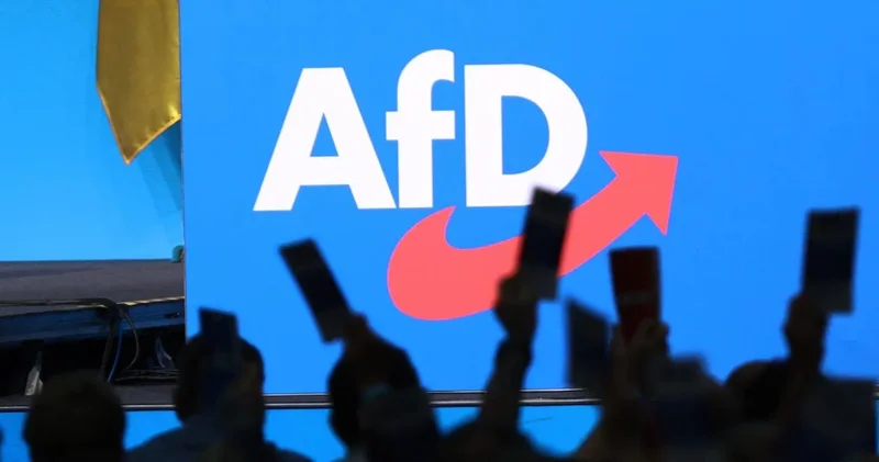Alman istihbaratının hazırladığı gizli AfD belgeleri sızdırıldı