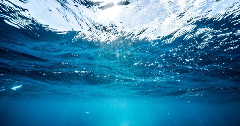 Dünya nın derin deniz tabanının sadece yüzde 0,001 ini keşfettik