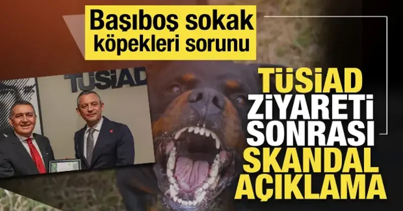 Özgür Özel, CHP li belediyelerin başıboş sokak köpeklerini toplamayacaklarını duyurdu