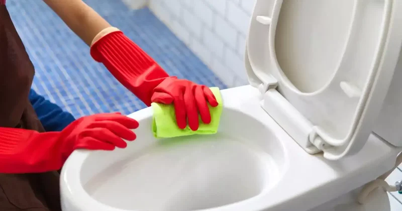 Evinizdeki bu eşya klozeti solladı! Meğer kendisini aratmayacak kadar kirliymiş